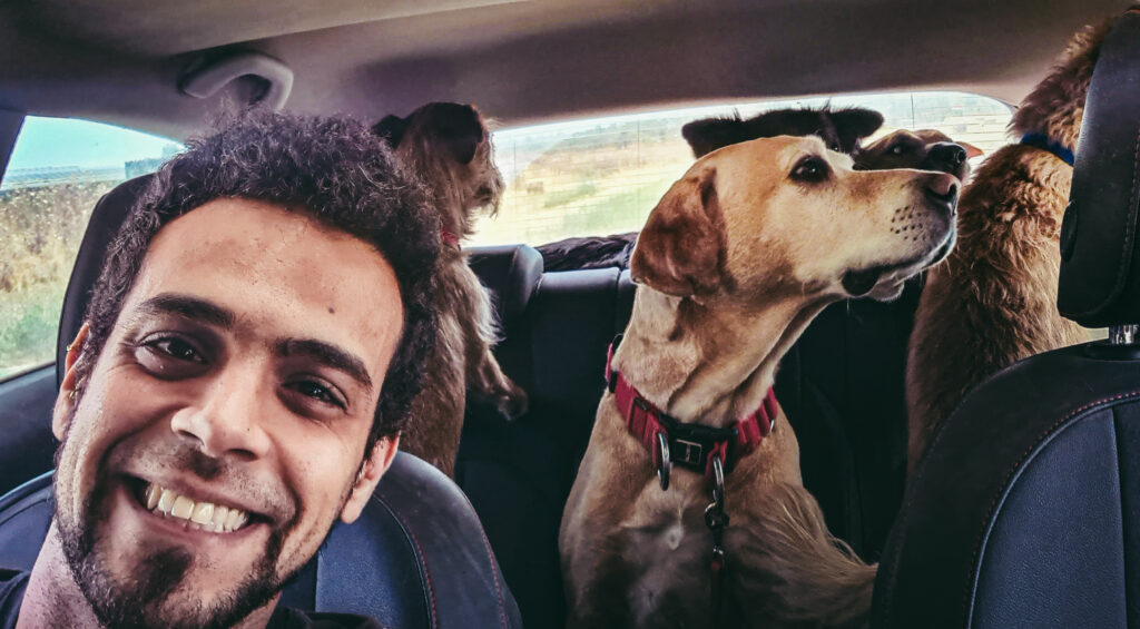 in the car